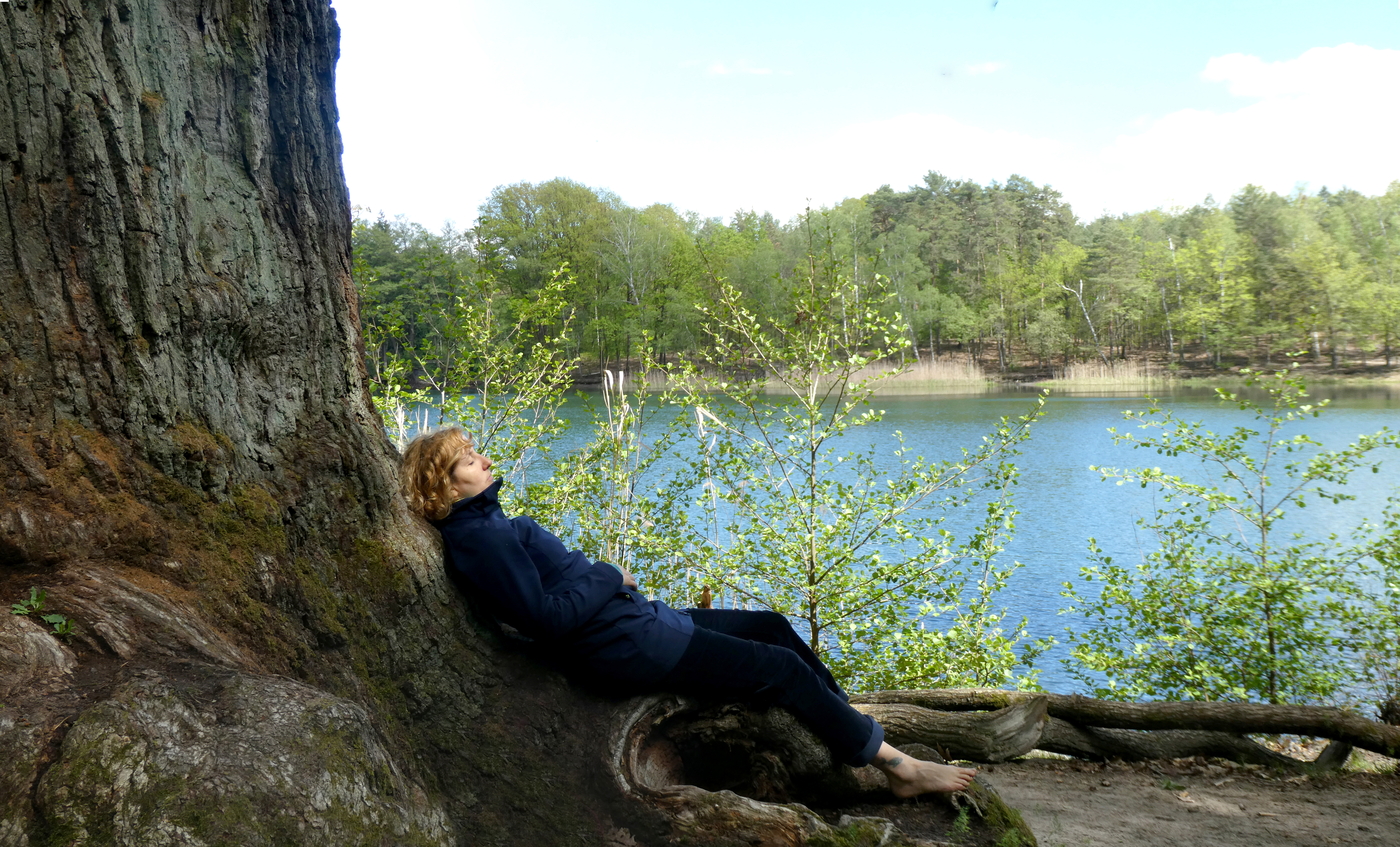 Unbenanntes_Panorama1